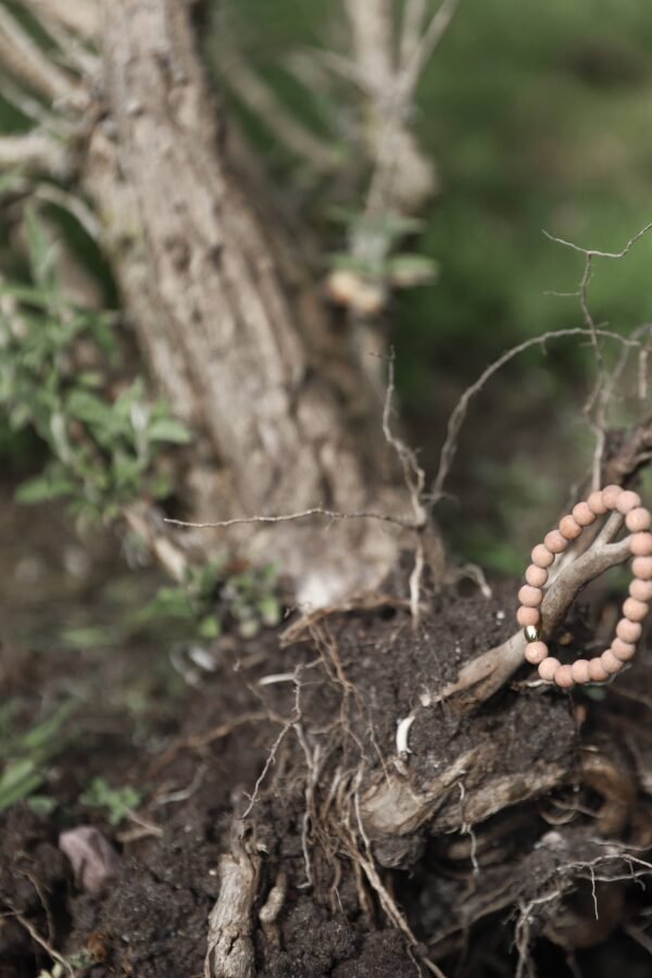 Come Back | Kit - Image 4